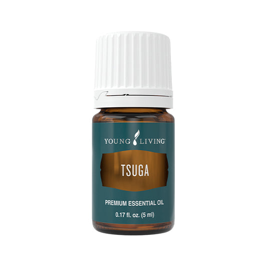 Tsuga